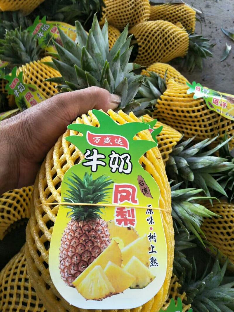 当季水果供应：如何选择新鲜美味的应季果品？