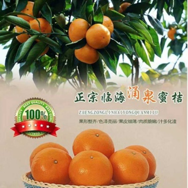 为什么选择当季水果？了解这些好处，让你吃得更健康！