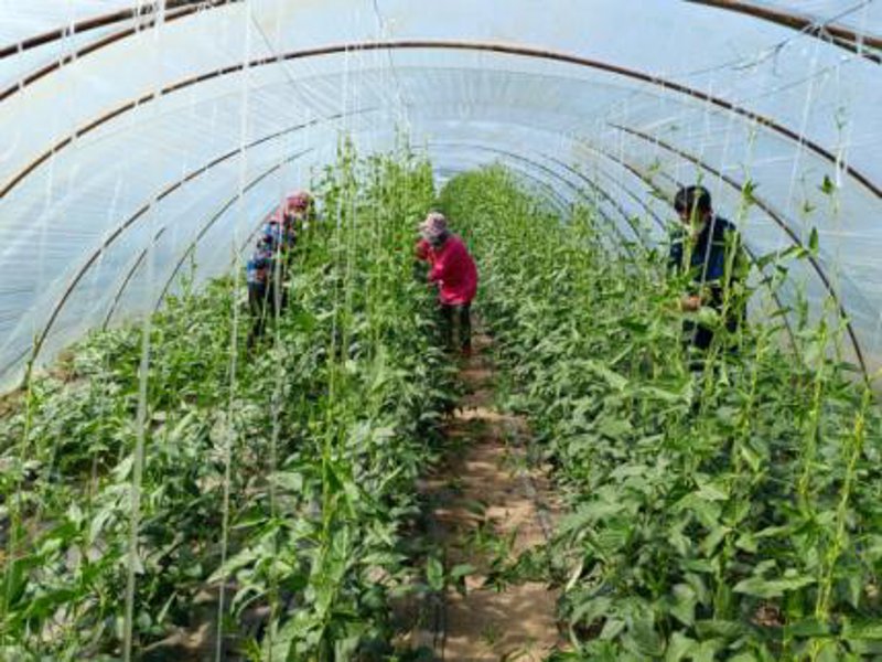 了解当季水果的供应情况对于消费者和商家而言都至关重要。本文将通过多个步骤，帮助你更好地理解并利用这一信息。