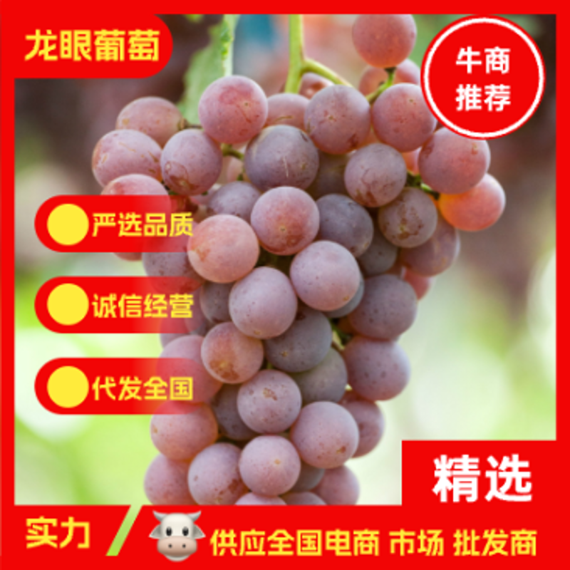 新鲜蔬菜配送：从田间直达餐桌的绿色选择