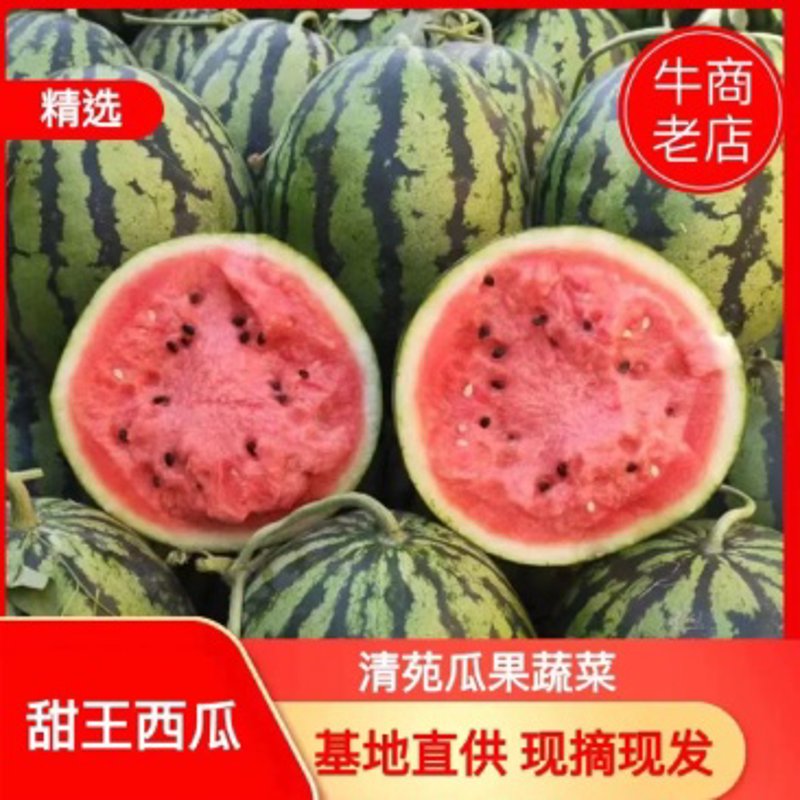 蔬菜种植基地的建设与管理，究竟有哪些关键点？