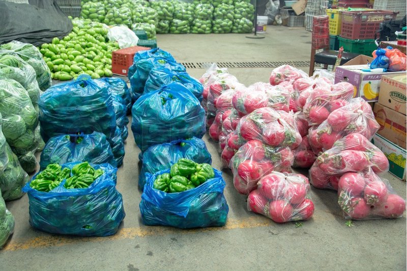 如何建立一个高效的蔬菜种植基地？